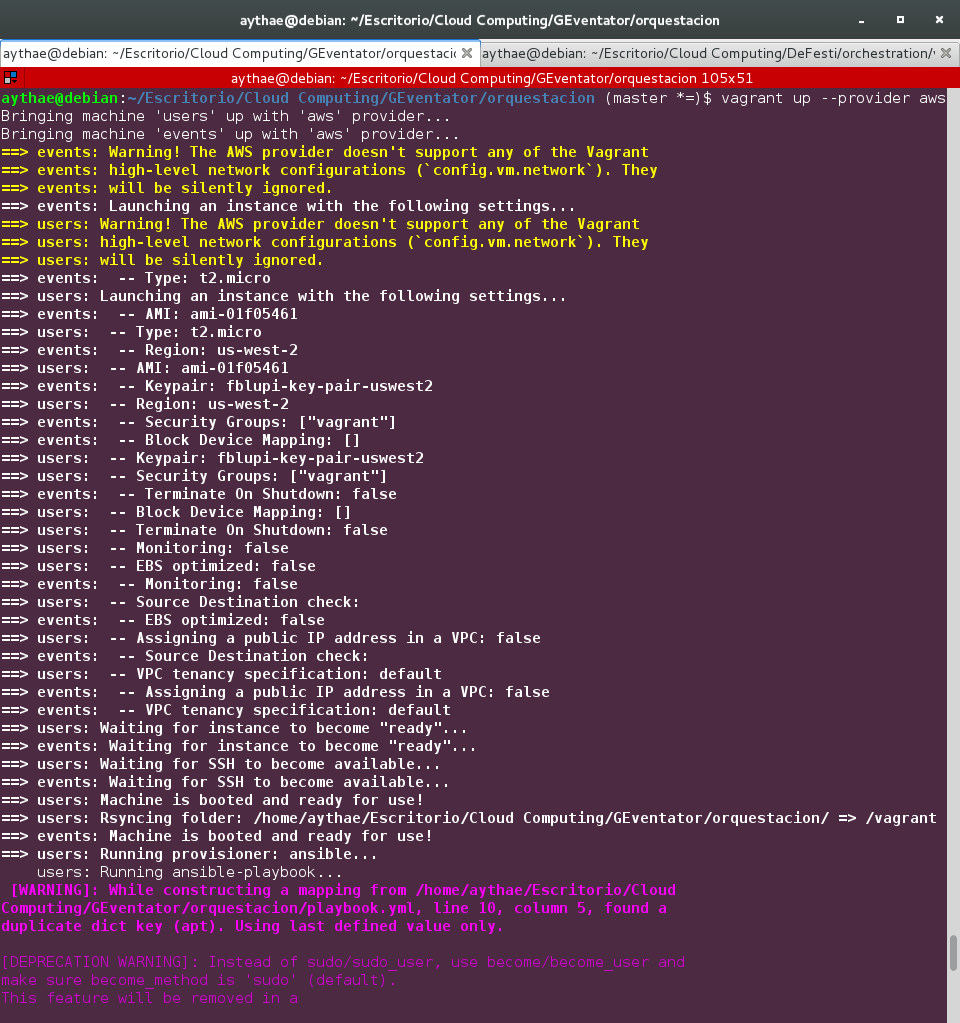 Ejecucion vagrant flupi 1